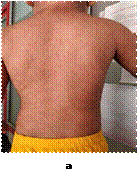 newcr1img6